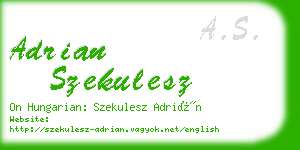 adrian szekulesz business card